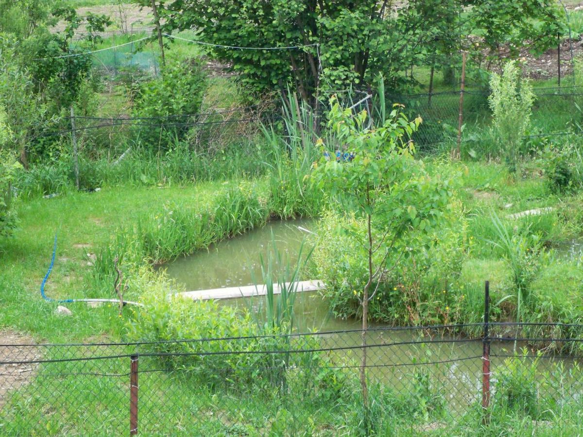 Noclegi Przy Szlaku Agroturystyka Zabnica Exterior foto