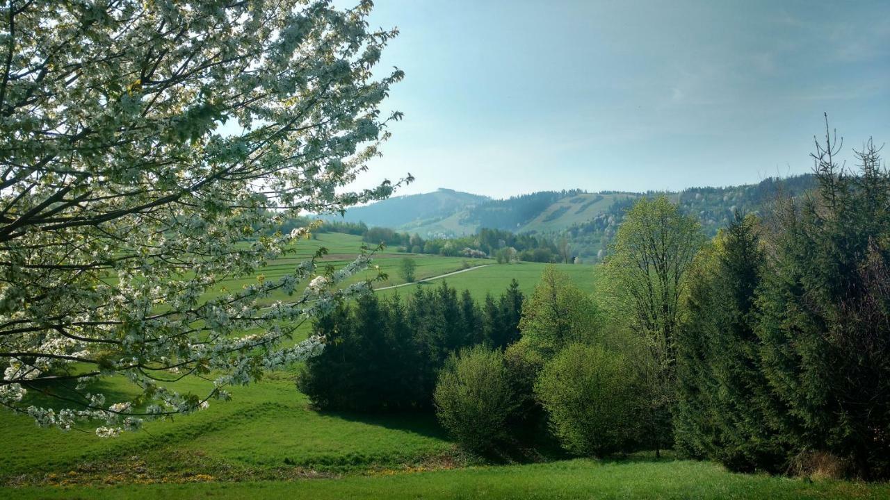 Noclegi Przy Szlaku Agroturystyka Zabnica Exterior foto