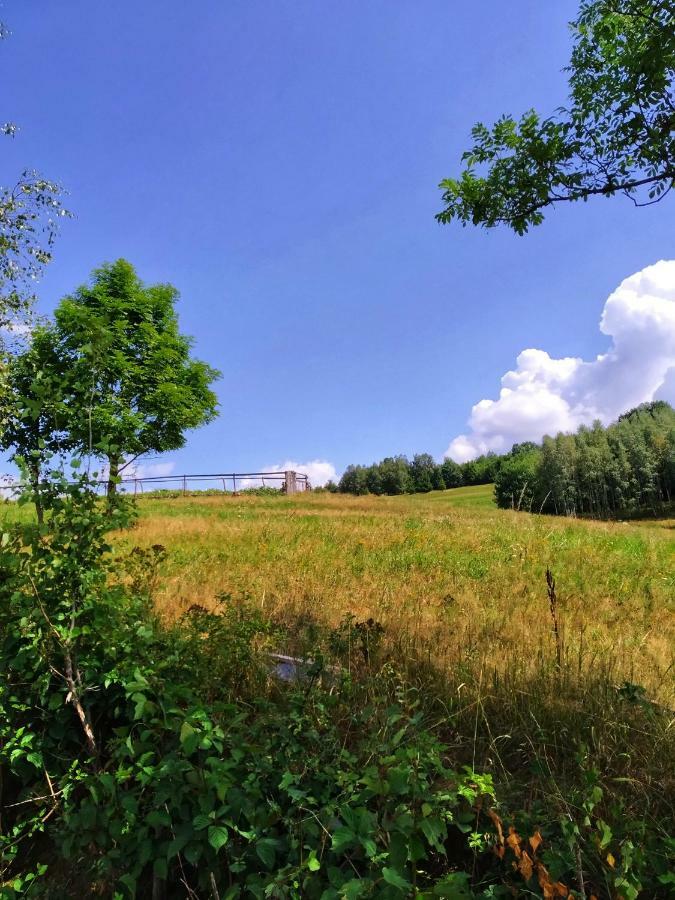 Noclegi Przy Szlaku Agroturystyka Zabnica Exterior foto